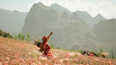 Let cinema empower tourism, transforming heritage into sustainable livelihoods.
