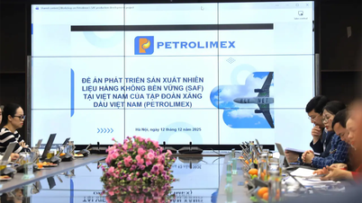 Petrolimex tổ chức hội thảo báo cáo đề án nghiên cứu sản xuất nhiên liệu hàng không bền vững (SAF) tại Việt Nam