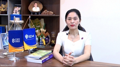 Identidad: La huella de las marcas vietnamitas en el escenario internacional