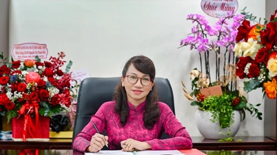 Portré a Vietnami Nemzeti Egyetem első női igazgatójáról, Ho Si Minh-városról