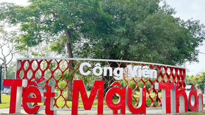Aktiviti-aktiviti menarik untuk meraikan Tahun Baru 2026 di Taman Tet Mau Than.
