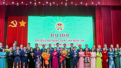 Nghe An: Promoting the leading role of farmers in agricultural and rural development.
