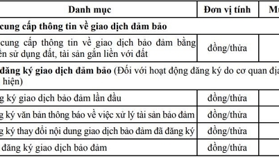 Cà Mau quy định mới về mức thu phí, lệ phí từ 01/01/2026