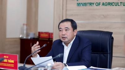 Az akvakultúra előtt álló akadályok elhárítása egy jelentős gazdasági ágazat létrehozása érdekében.