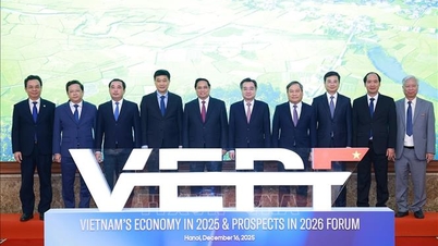 Le Premier ministre participe au Forum économique vietnamien 2025.