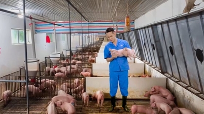 A Cargill továbbra is vezető pozícióját tartja a vietnami állattenyésztési ágazatban.