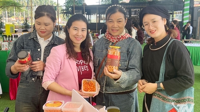 ស្ត្រី​ចូលរួម​គ្នា​កសាង​បរិយាកាស​រស់នៅ​ដ៏​ស៊ីវិល័យ។