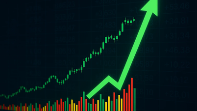 Indeks VN berbalik arah dan meningkat 33 mata, tetapi saham Quoc Cuong Gia Lai kekal pada harga lantainya.