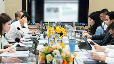 Anugerah ESG Vietnam 2025: Pendedahan daripada Panel Penilai selepas Pusingan Akhir