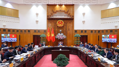 Prime Minister: Thorough preparations are underway for the groundbreaking and inauguration ceremonies of 234 projects nationwide.