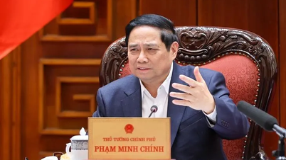 Prime Minister: Thorough preparations are underway for the groundbreaking and inauguration ceremonies of 234 projects nationwide.