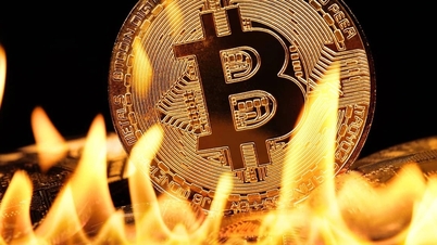Bitcoin terus jatuh bebas, pasaran mata wang kripto berada dalam zon merah.