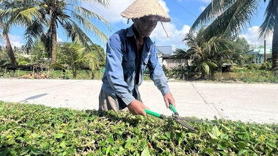Cà Mau trình kế hoạch thực hiện Chương trình nông thôn mới giai đoạn 2025-2030