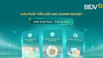 BIDV និងដំណោះស្រាយប្រាក់បញ្ញើដ៏ល្អប្រសើរសម្រាប់អាជីវកម្ម។