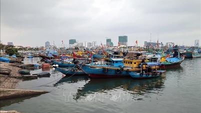 Peralihan kepada pembatalan 'kad kuning' IUU - Bahagian 1