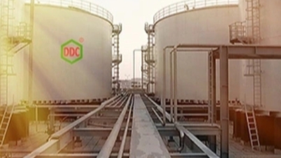 Akcie chemického giganta DGC nečekaně klesly k nejnižší hodnotě a zaznamenaly výprodej o více než 1,3 bilionu VND.