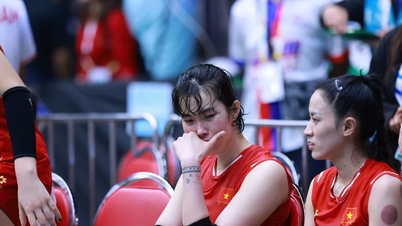 ฉันรู้สึกเห็นใจนักวอลเลย์บอลหญิงชาวเวียดนามเหลือเกิน
