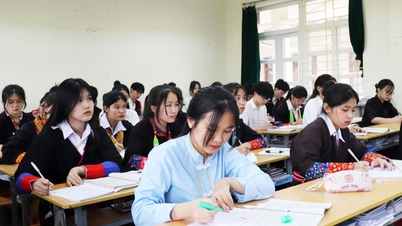 Quang Ninh-provinsen bevilger over 400 milliarder dong per skoleår for å støtte mer enn 340 000 elever.