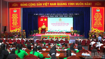 កសិករនៅខេត្ត Ca Mau កំពុងឈានទៅរកកសិកម្មទំនើប និងប្រកបដោយចីរភាព។