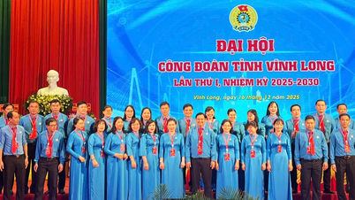 Vinh Long vynakládá téměř 123 miliard dongů na péči o 200 000 členů odborů a pracovníků.