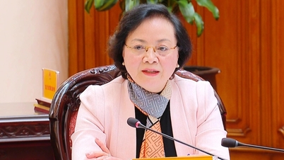 Deputy Prime Minister: "Arrange and strengthen the deployment of civil servants from the provincial level to the commune level"