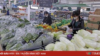 Ханой забезпечує достатню кількість товарів для свята Тет.