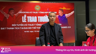 Tim MMA Vietnam menerima penghargaan besar setelah SEA Games ke-33