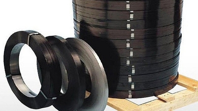 Канада робить висновок, що в'єтнамські експортери сталевої стрічки не вдаються до демпінгу.