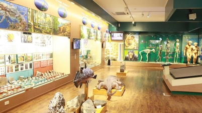 Vietnamské muzeum přírody: Bezplatná cesta za poznáním 3,6 miliardy let historie.