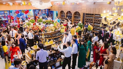 Đà Nẵng: Thưởng thức tiệc rượu sang chảnh, nghỉ dưỡng miễn phí tại khách sạn 3 sao