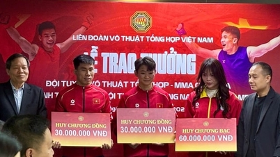 សហព័ន្ធ MMA វៀតណាម បានផ្តល់រង្វាន់ដល់ក្រុម MMA បន្ទាប់ពីសម្រេចបានលើសគោលដៅរបស់ពួកគេនៅក្នុងព្រឹត្តិការណ៍ស៊ីហ្គេមលើកទី ៣៣។