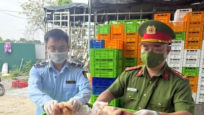 ដំណើរការករណីក្លែងបន្លំពាណិជ្ជកម្មជាង 23,000 ករណីក្នុងឆ្នាំ 2025។