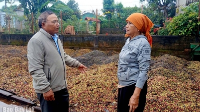 Dorpsoudsten, dorpshoofden en invloedrijke figuren – de kern van de gemeenschapszin in Quang Phu.