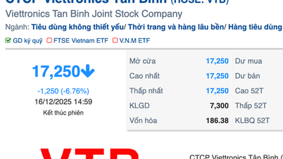 Mengapakah harga saham Viettronics Tan Binh jatuh selama 5 sesi berturut-turut selepas hartawan Vu Van Tien mengambil alih?
