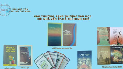 Asociația Scriitorilor din Ho Chi Minh City anunță premii și distincții pentru anul 2025.
