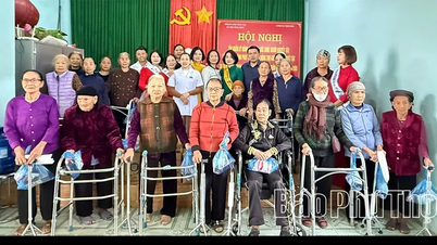 Vinh Phuc Social Work Center summarizes the model of assisting people with disabilities.