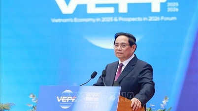 Premiér Pham Minh Chinh: Vietnamský cíl rychlého a udržitelného rozvoje je opodstatněný, má prostor pro růst a je proveditelný.