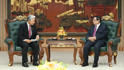 Mendorong kerja sama yang substantif dan komprehensif antara Prefektur Tochigi dan daerah-daerah di Vietnam.