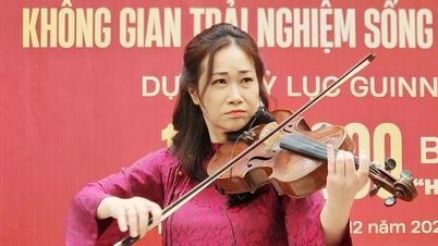 ศิลปินไวโอล่าผู้เคยแสดงคอนเสิร์ตใน 53 ประเทศ กำลังจะมาเยือนเวียดนามเพื่อแสดงสิ่งพิเศษ