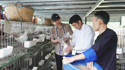 ខេត្ត Lao Cai សម្រេចបានលទ្ធផលវិជ្ជមានជាច្រើនក្នុងកិច្ចខិតខំប្រឹងប្រែងកាត់បន្ថយភាពក្រីក្រក្នុងអំឡុងឆ្នាំ ២០២១-២០២៥។