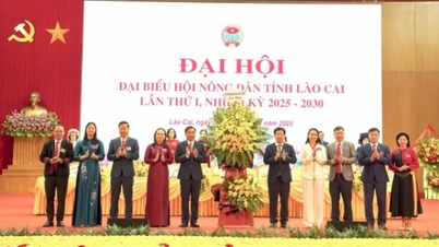 សមាជលើកទី១ នៃប្រតិភូសមាគមកសិករខេត្តឡាវកាយ