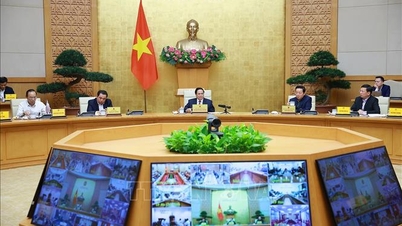 Premiér Pham Minh Chinh předsedal 26. zasedání Řídícího výboru pro boj proti nezákonnému, nehlášenému a neregulovanému rybolovu.