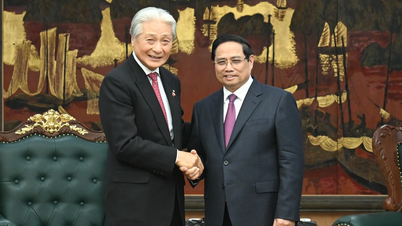 [Foto] El primer ministro Pham Minh Chinh recibe al gobernador de la provincia de Tochigi (Japón)