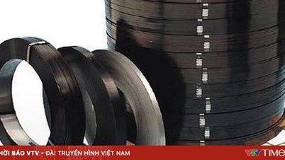 캐나다는 베트남이 철제 띠를 덤핑 판매하고 있지 않다고 결론지었습니다.