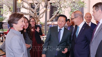 Vice premiärminister Tran Hong Ha tar emot EU-ambassadörer och Chargé d'affaires i Vietnam.