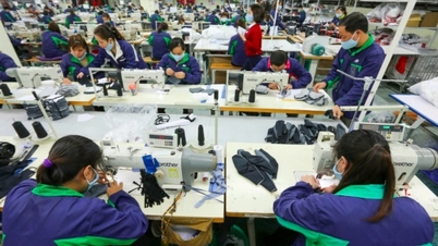 섬유 산업의 지속 가능한 발전: 어디서부터 시작해야 할까요?