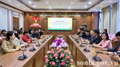 히에우 병동은 인사 관련 결정 사항을 발표합니다.