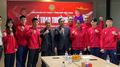 Liên đoàn Võ thuật tổng hợp Việt Nam vinh danh đội tuyển MMA đạt thành tích xuất sắc tại SEA Games 33
