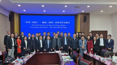 A Delegação Provincial de Dong Thap promove as relações comerciais com empresas na província de Henan (China).