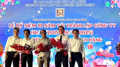 Syarikat Perhutanan Binh Thuan meraikan ulang tahunnya yang ke-10.
